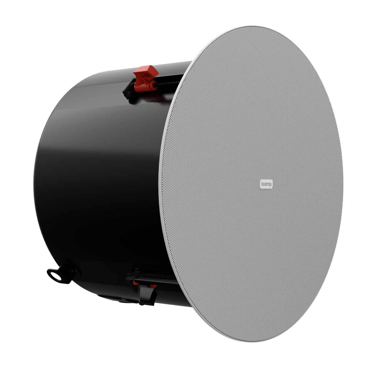 Biamp DX-IC10SUB-W �������� ��������� �������. ���������� 100 ��