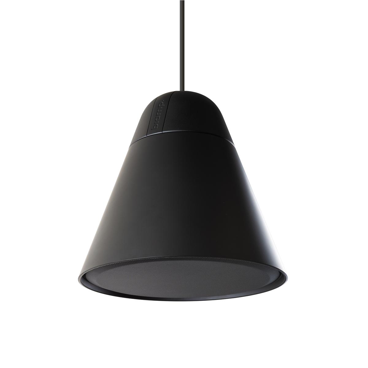 Biamp P30DT ������ ��������� �������. ����������: 50 ��